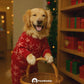 Merry Christmas Mini Movie From Your Pet