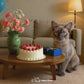 Meaningful Birthday Mini Movie From Your Pet