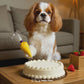 Meaningful Birthday Mini Movie From Your Pet